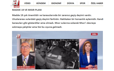 İnsani girişime İsrail korsanlığı! Aktivistler sınır dışı edilecek. Detayları Yönetim Kurulu Üyemiz Prof. Dr. Esat Arslan Anlattı
